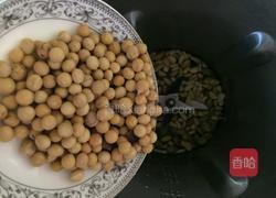 坚果豆浆的做法图解4