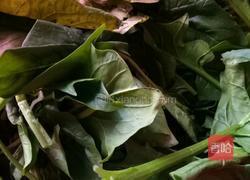 MjUwX2MyOjEvM15yYjI6MS84XzE4MA