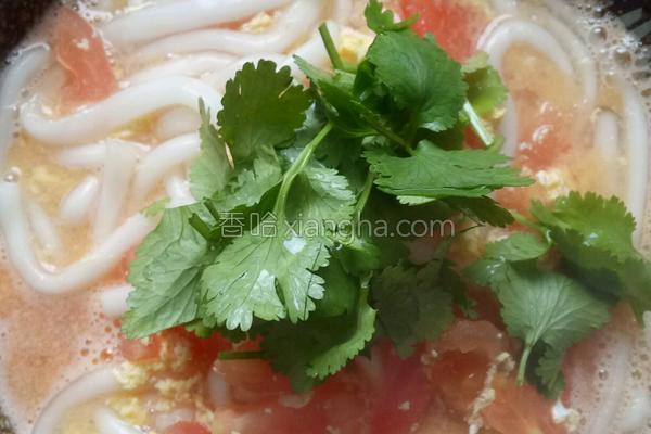 番茄鸡蛋土豆粉的做法_番茄鸡蛋土豆粉的做法