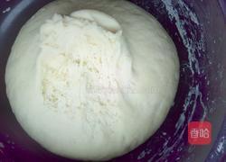 花样馒头(面头发酵)的做法图解5