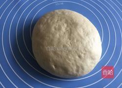 圣诞树面包的做法图解2