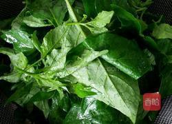 苦槐菜汆肉片的做法图解1
