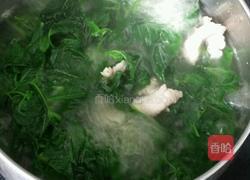 苦槐菜汆肉片的做法图解5