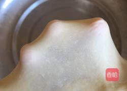 豆沙面包的做法图解8