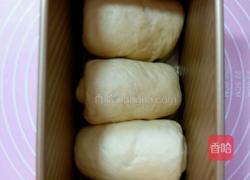 北海道土司（直接法）的做法图解10