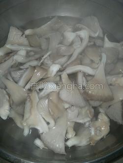 蘑菇要过水吗 MjUwX2MxXzA