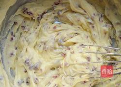 蔓越莓饼干（家常版）的做法图解13