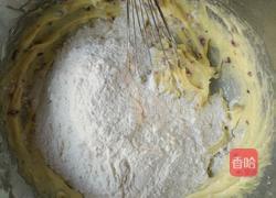 蔓越莓饼干（家常版）的做法图解14