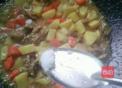 咖喱土豆胡萝卜鸡肉的做法图解10
