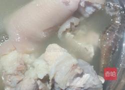 鹿尾巴海马海龙炖猪尾骨的做法图解4