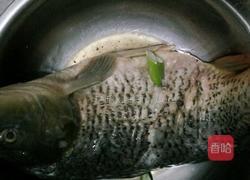 家常红烧鲤鱼的做法图解1