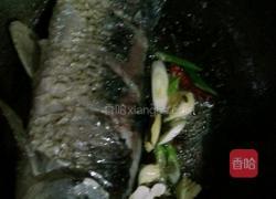 家常红烧鲤鱼的做法图解3