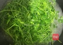 上汤金花菜的做法图解4