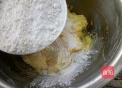 核桃酥的做法图解8