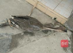 蒜头豆鼓焖鹅的做法图解1