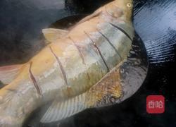 红烧鲤鱼的做法图解4