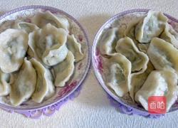 韭菜猪肉水饺的做法图解17
