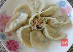 白菜虾仁饺子的做法图解17