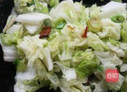 大烩菜的做法图解7