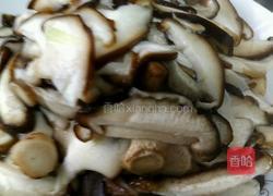 四季菌菇的做法图解2