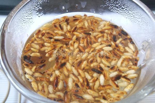 糙米茶的做法_菜谱