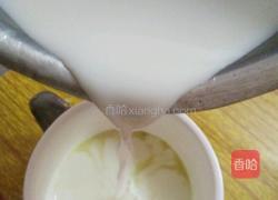 姜汁撞奶的做法图解4