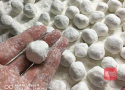 什锦元宵的做法图解9