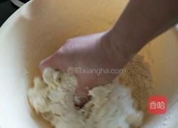 炒面皮的做法图解5