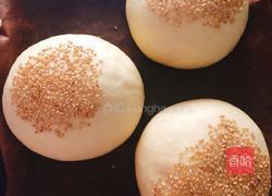 poolish（波兰种）汉堡胚的做法图解10