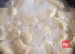 猪肉木耳白菜饺子的做法图解6