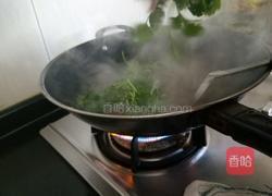 鲫鱼红烧香菜的做法图解12
