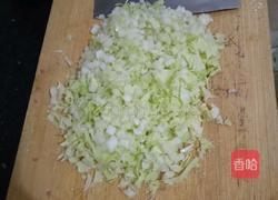 白菜饺子馅的做法图解3