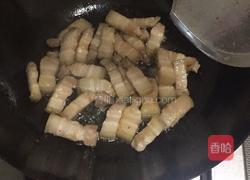 猪肉炖粉条的做法图解3