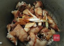 卤猪蹄的做法图解5