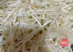 豆芽菜炒肉的做法图解3