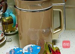 红心火龙果奶昔（豆浆机版）的做法图解1