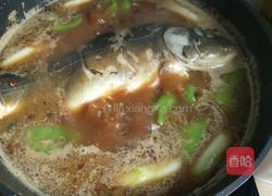 家常炖鲤鱼的做法图解3