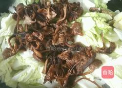 榛蘑炒白菜的做法图解5