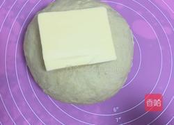 金钱小面包的做法图解4