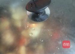 鸡肉烧土豆的做法图解5