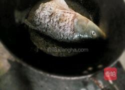 红烧鲤鱼的做法图解2