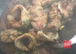 鲶鱼煲的做法图解4
