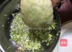 白菜猪肉饺子的做法图解3