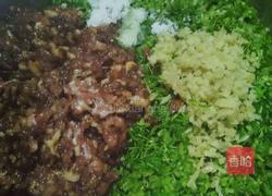 茴香肉饺子馅（清香型）的做法图解5