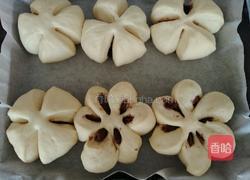 豆沙面包的做法图解13