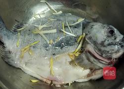 清蒸海参斑的做法图解5