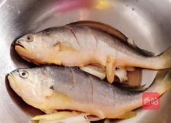 香煎黄花鱼的做法图解2