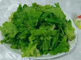 拌生菜