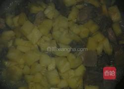 波萝鸡的做法图解6