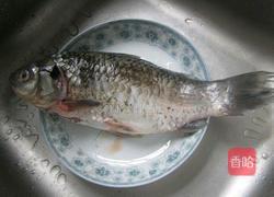 胡萝卜玉米鲫鱼汤的做法图解2